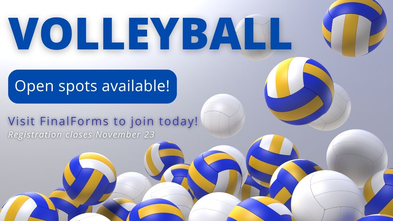 Volleyball signups